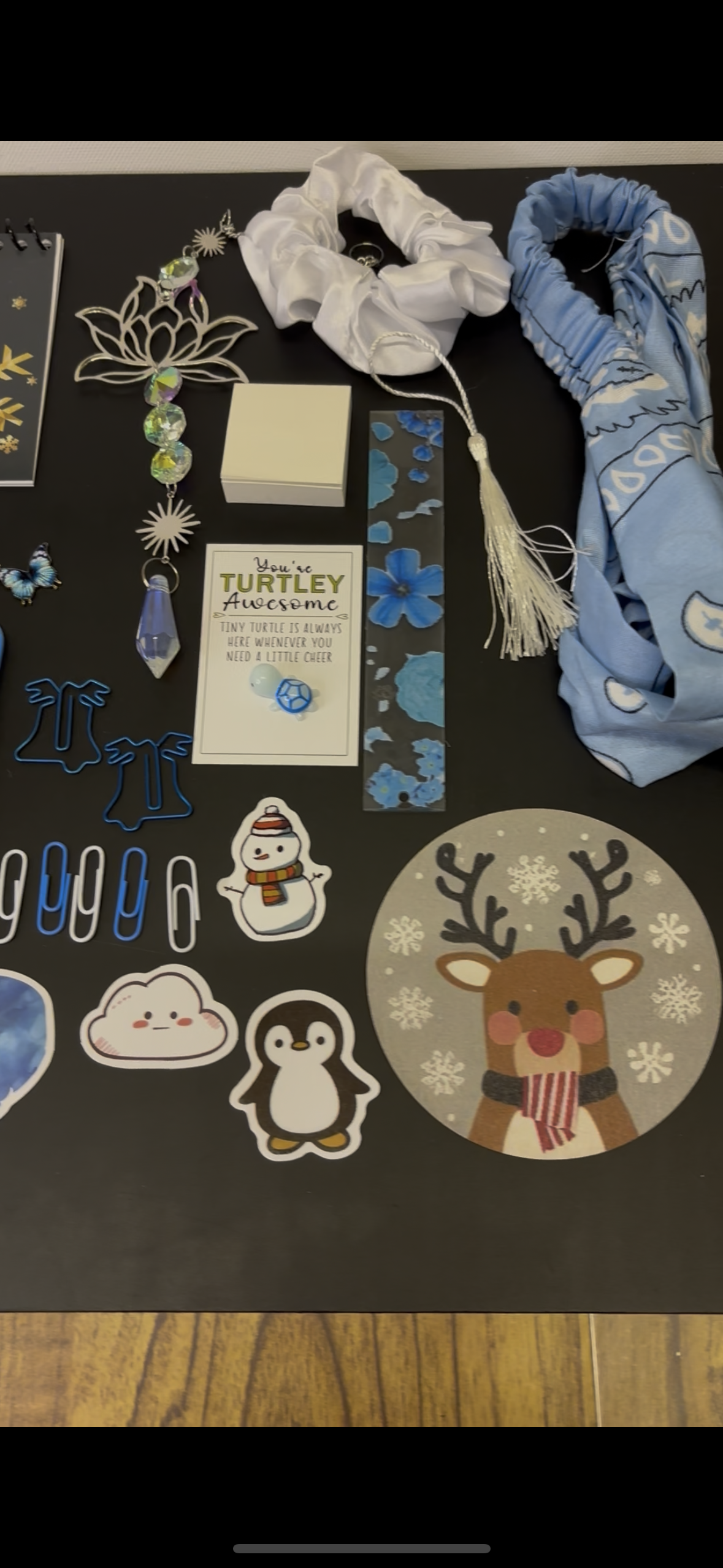 Blue and White Winter Themed Gift Set Includes Notebook Sticky Notes Bookmark Clips and More Perfect for Festive Gifting